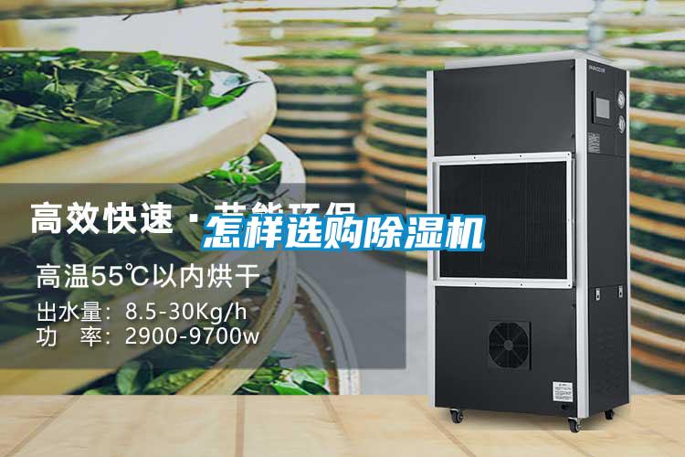 怎样选购好色先生污污版