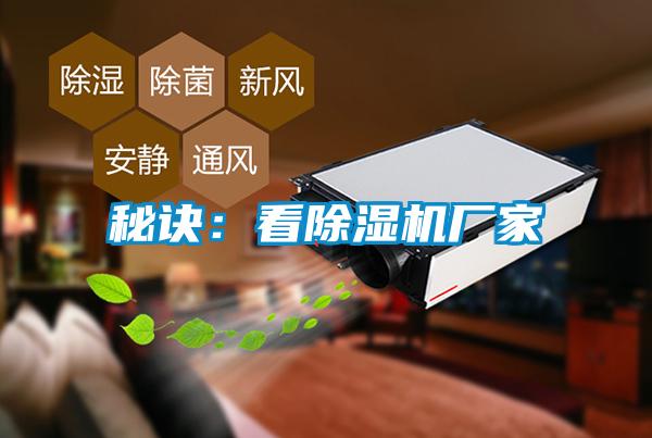 秘诀：看好色先生污污版厂家