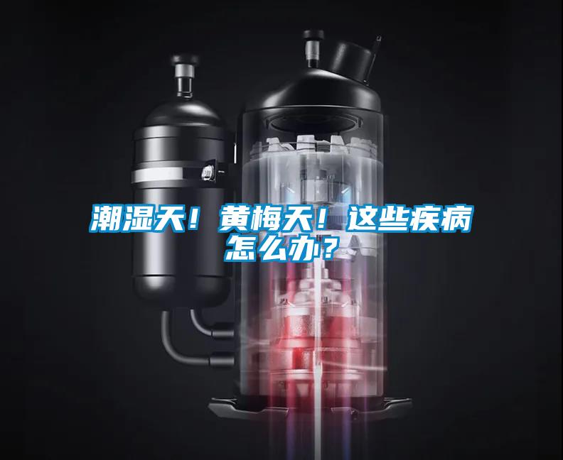 潮湿天！黄梅天！这些疾病怎么办？