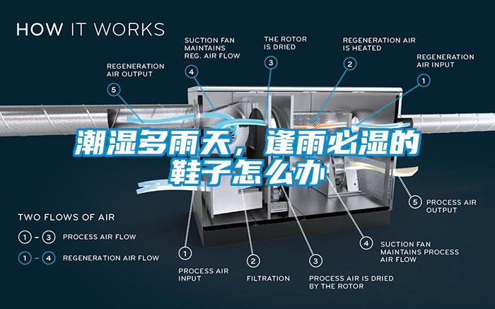 潮湿多雨天，逢雨必湿的鞋子怎么办