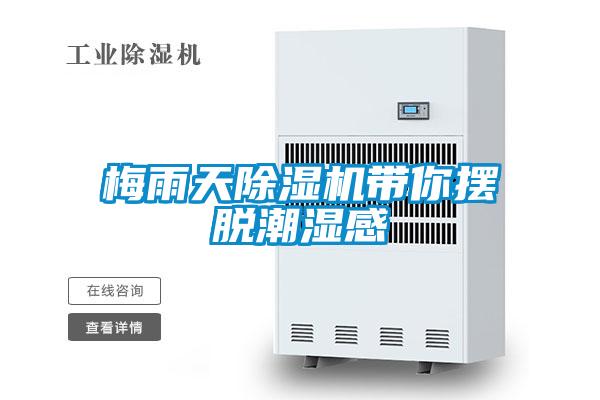 梅雨天好色先生污污版带你摆脱潮湿感