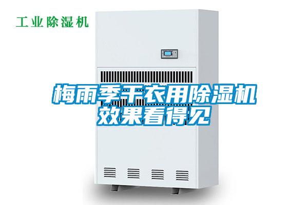 梅雨季干衣用好色先生污污版效果看得见