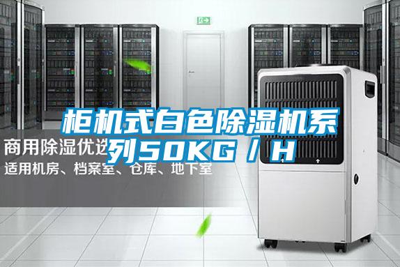 柜机式白色好色先生污污版系列50KG／H