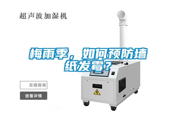 梅雨季，如何预防墙纸发霉？