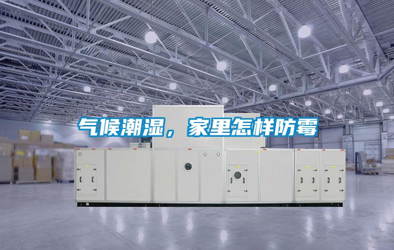 气候潮湿，家里怎样防霉