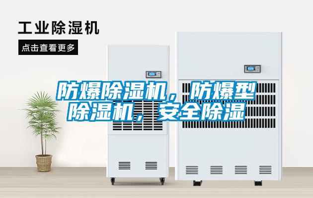 防爆好色先生污污版，防爆型好色先生污污版，安全除湿