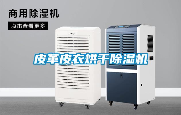 皮革皮衣烘干好色先生污污版