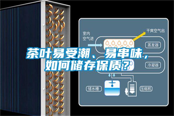 茶叶易受潮、易串味，如何储存保质？