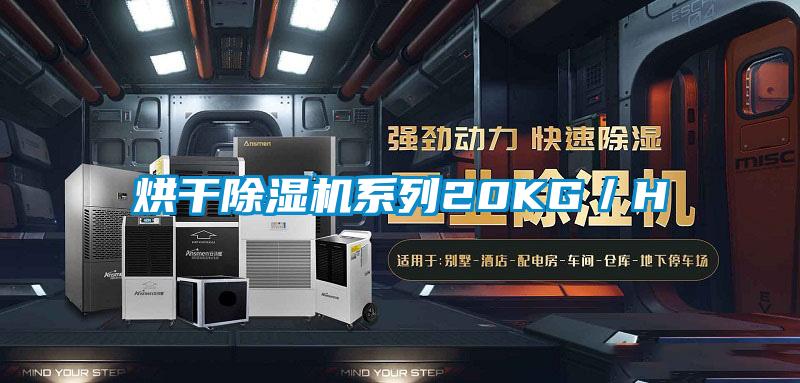 烘干好色先生污污版系列20KG/H