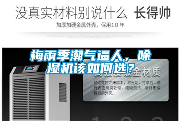 梅雨季潮气逼人，好色先生污污版该如何选？