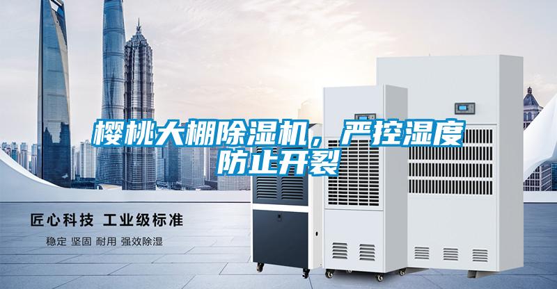 樱桃大棚好色先生污污版，严控湿度防止开裂