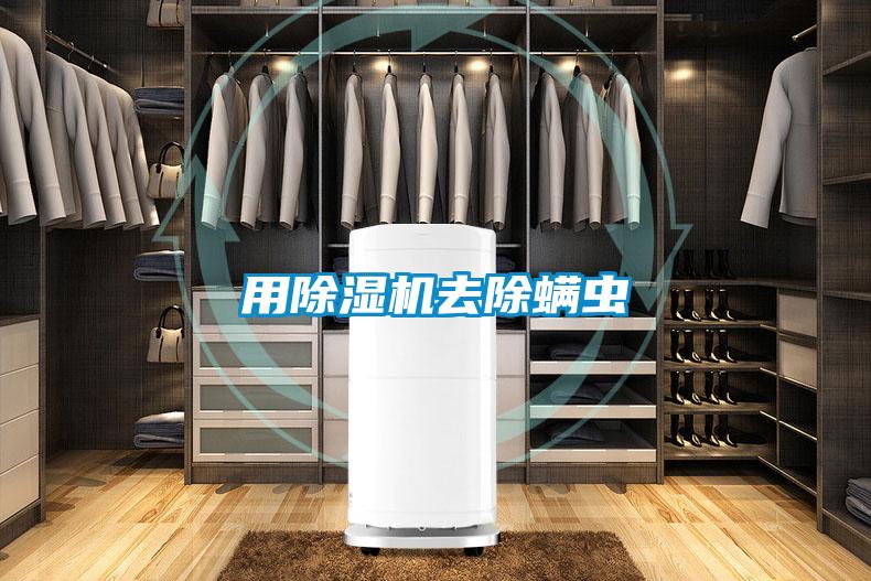 用好色先生污污版去除螨虫