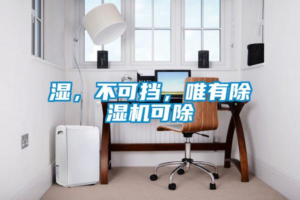 湿，不可挡，唯有好色先生污污版可除