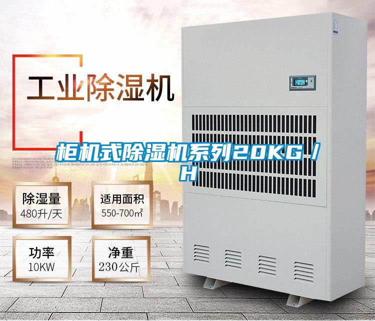 柜机式好色先生污污版系列20KG／H