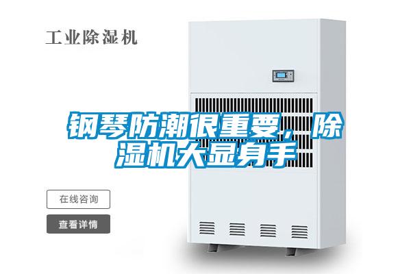 钢琴防潮很重要，好色先生污污版大显身手