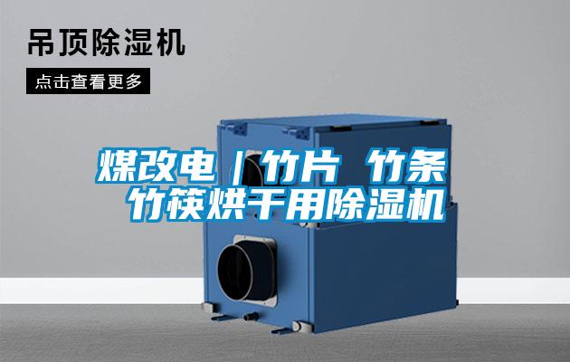 煤改电|竹片 竹条 竹筷烘干用好色先生污污版