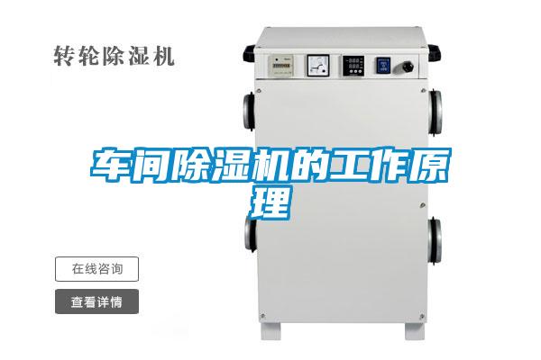 车间好色先生污污版的工作原理