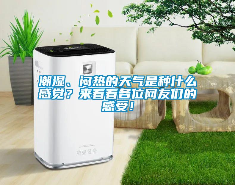 潮湿、闷热的天气是种什么感觉？来看看各位网友们的感受！
