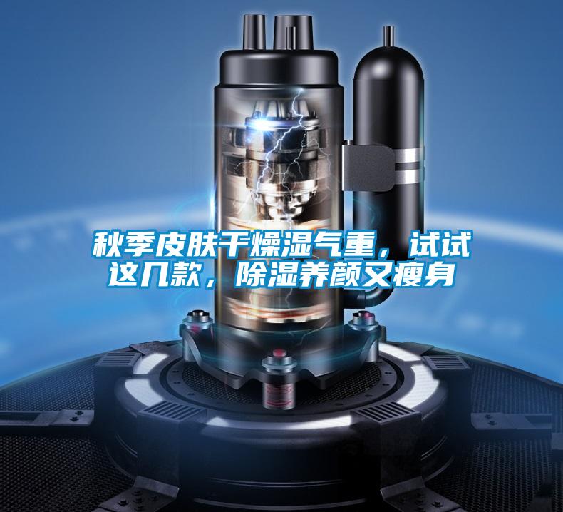 秋季皮肤干燥湿气重，试试这几款，除湿养颜又瘦身