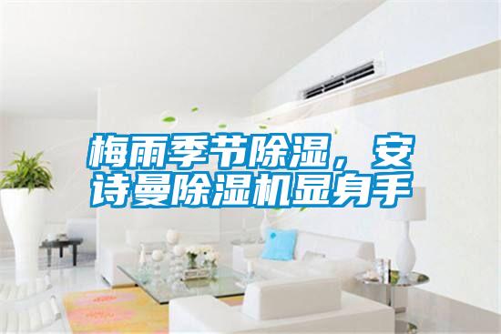 梅雨季节除湿，好色直播下载好色先生污污版显身手