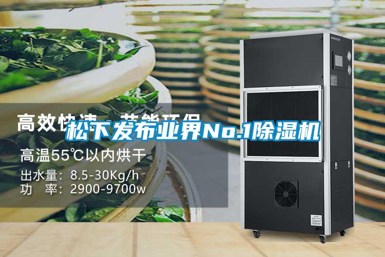 松下发布业界No.1好色先生污污版