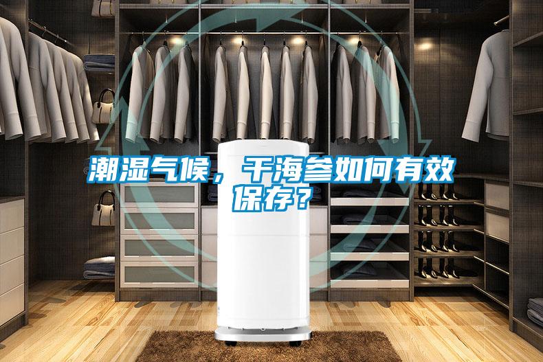 潮湿气候，干海参如何有效保存？