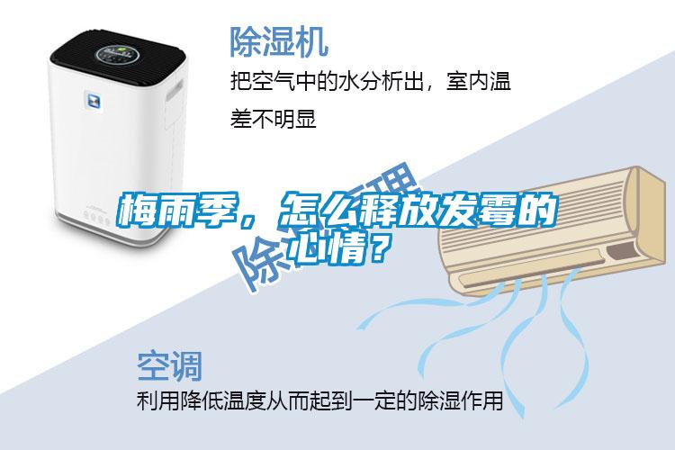 梅雨季，怎么释放发霉的心情？