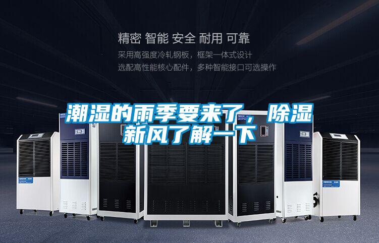 潮湿的雨季要来了，除湿新风了解一下