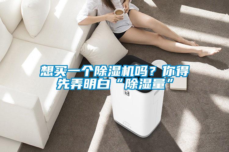 想买一个好色先生污污版吗？你得先弄明白“除湿量”