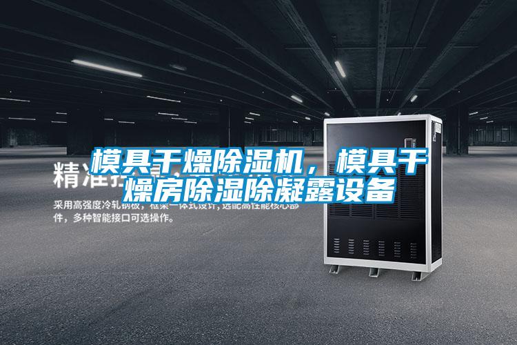 模具干燥好色先生污污版，模具干燥房除湿除凝露设备