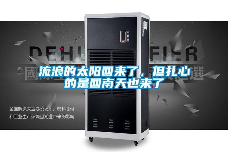 流浪的太阳回来了，但扎心的是回南天也来了