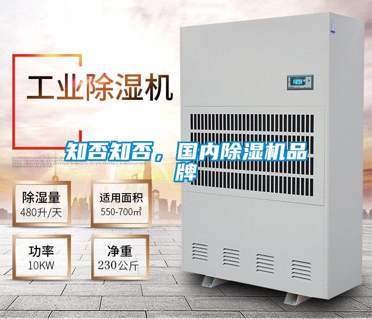 知否知否，国内好色先生污污版品牌