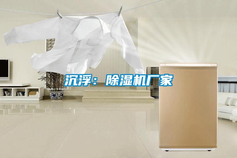 沉浮：好色先生污污版厂家