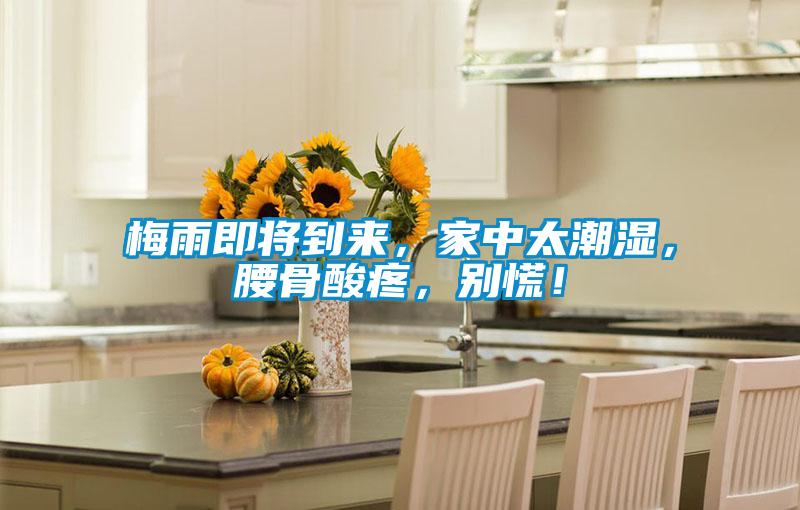 梅雨即将到来，家中太潮湿，腰骨酸疼，别慌！