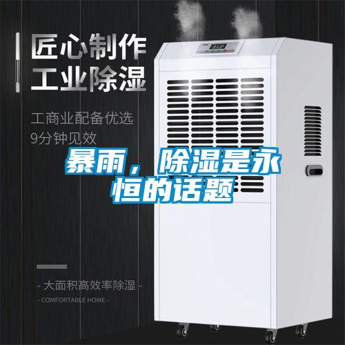 暴雨，除湿是永恒的话题