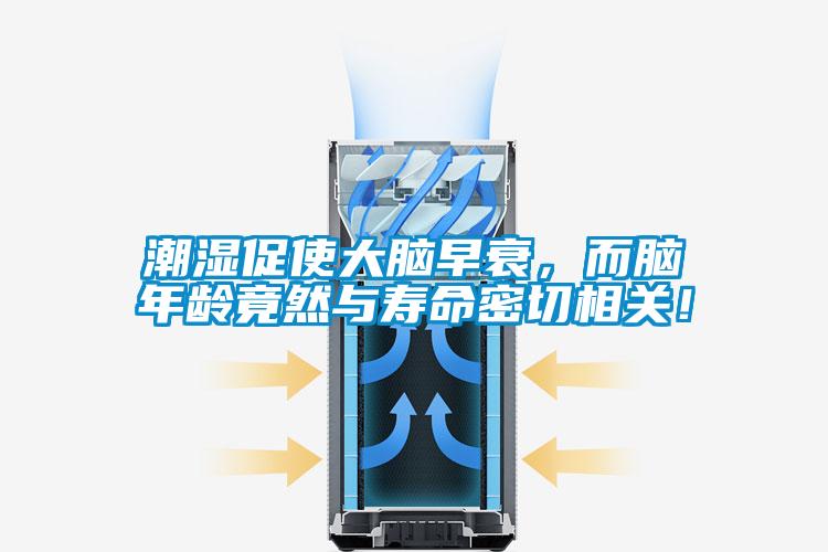 潮湿促使大脑早衰，而脑年龄竟然与寿命密切相关！