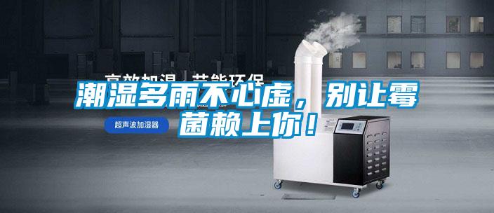 潮湿多雨不心虚，别让霉菌赖上你！