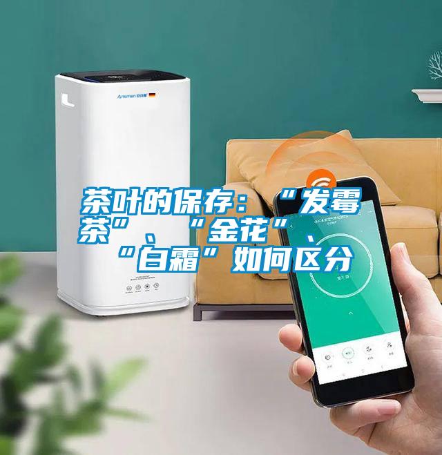 茶叶的保存：“发霉茶”、“金花”、“白霜”如何区分