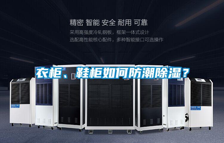 衣柜、鞋柜如何防潮除湿？