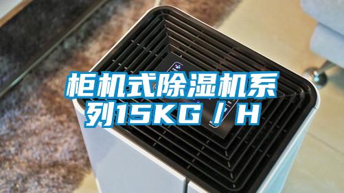 柜机式好色先生污污版系列15KG/H
