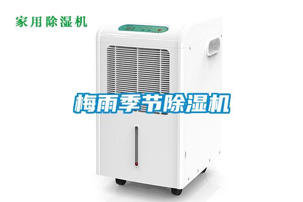 梅雨季节好色先生污污版