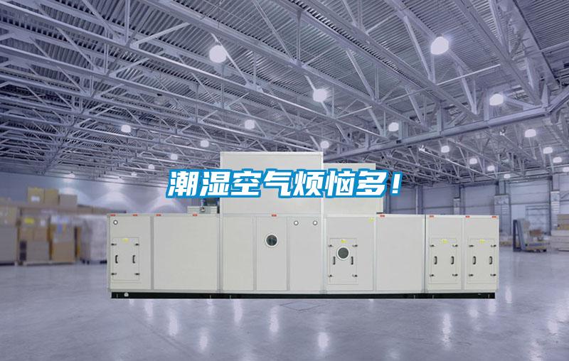 潮湿空气烦恼多！