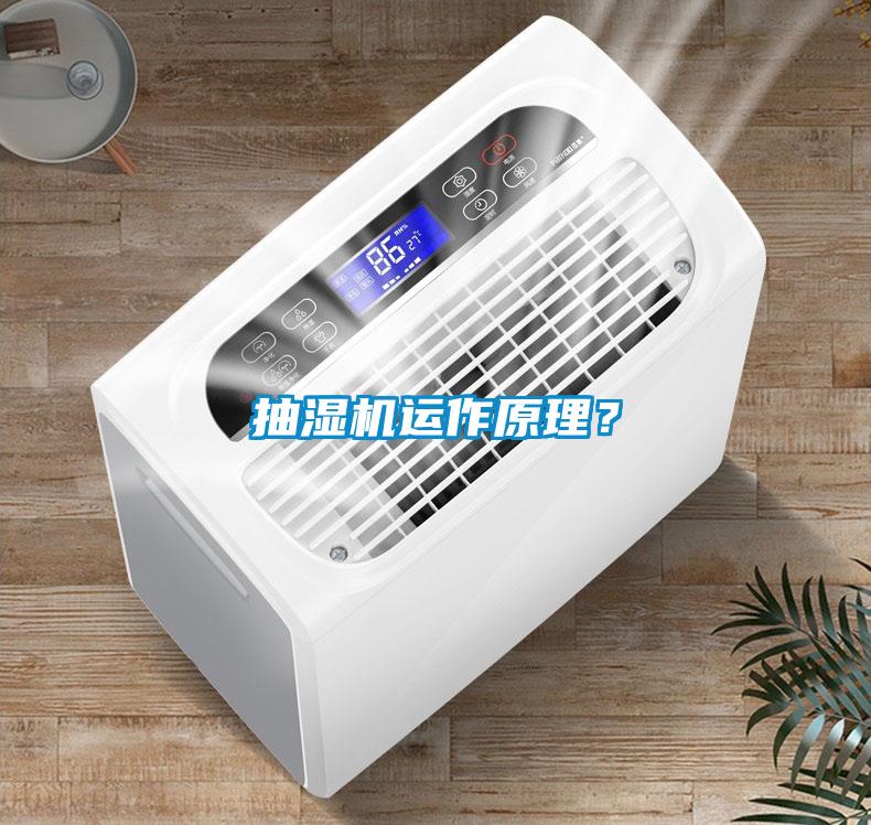 抽湿机运作原理？