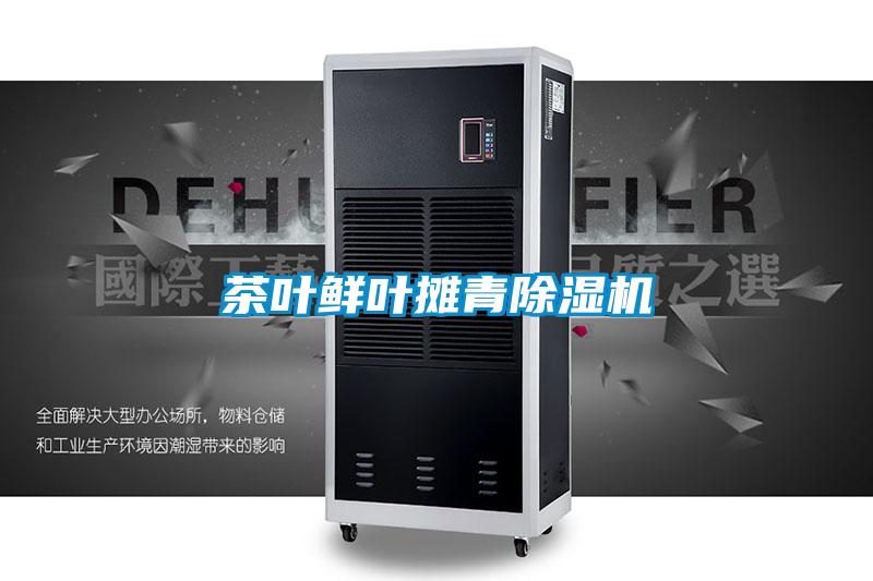 茶叶鲜叶摊青好色先生污污版