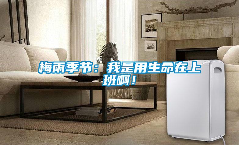 梅雨季节：我是用生命在上班啊！