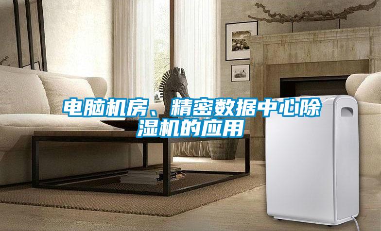 电脑机房、精密数据中心好色先生污污版的应用