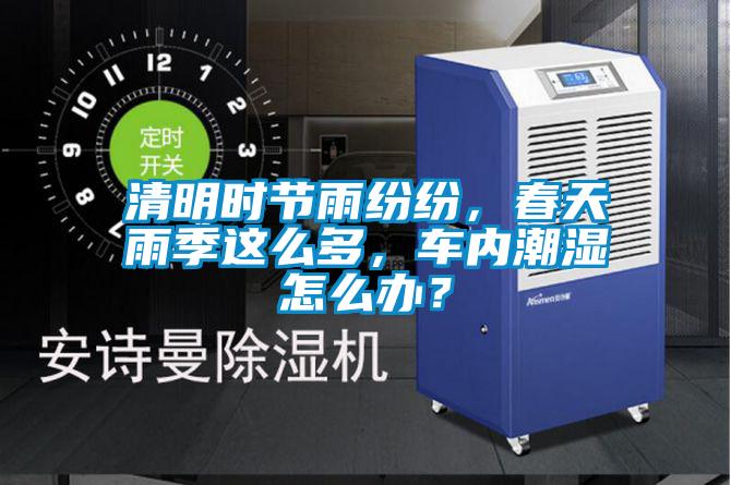 清明时节雨纷纷，春天雨季这么多，车内潮湿怎么办？