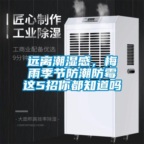 远离潮湿感，梅雨季节防潮防霉这5招你都知道吗