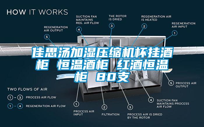 佳思汤加湿压缩机杯挂酒柜 恒温酒柜 红酒恒温柜 80支