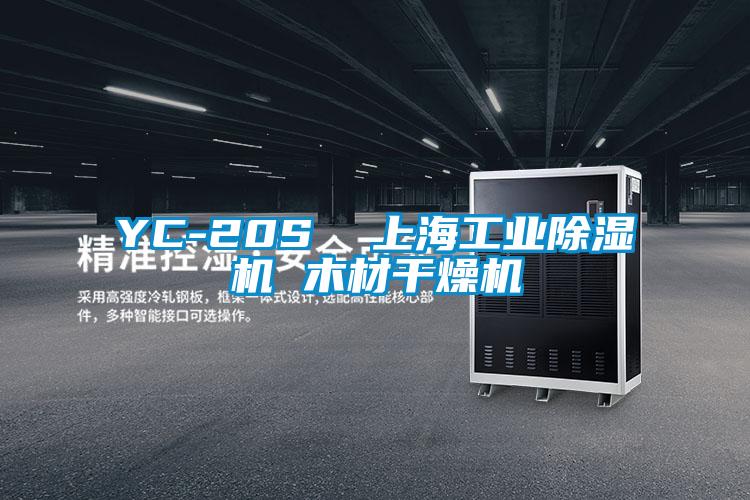 YC-20S  上海工业好色先生污污版 木材干燥机
